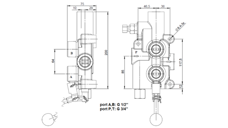 DISTRIBUTEUR FENDEUSE DE BUCHE AUTOMATIQUE-P81