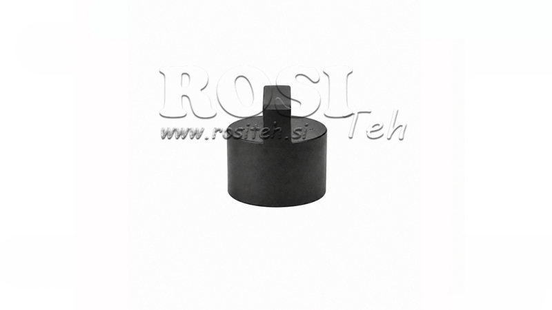 ARBRE POUR MINI CENTRALE HYDRAULIQUE