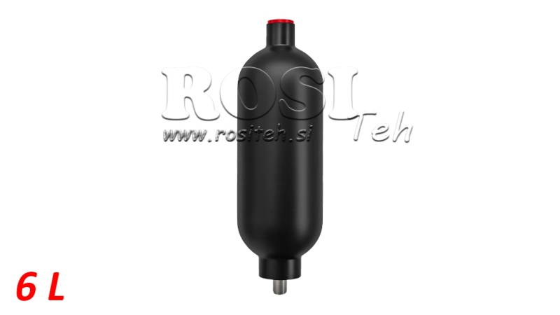 ACCUMULATEUR HYDRAULIQUE 6 LIT - BSP 1